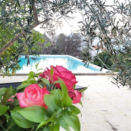 La Casa D'Olhao Villa Quelfes Exteriör bild